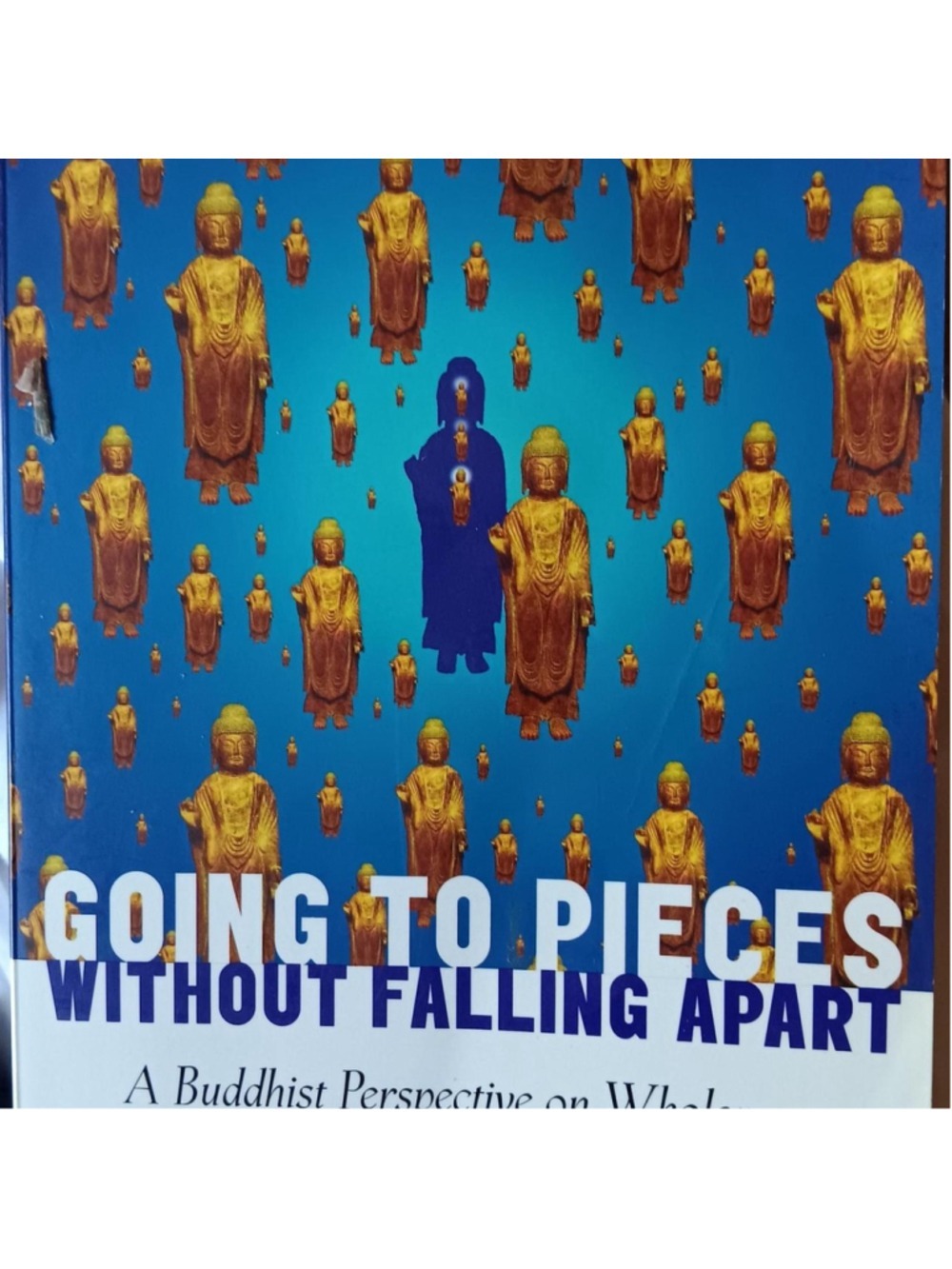 Going to Pieces Without Falling Apart: A Buddhist Perspective on Wholeness by Ma